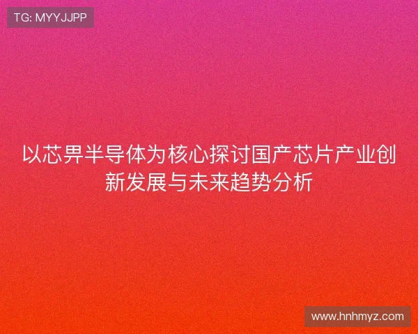 以芯畀半导体为核心探讨国产芯片产业创新发展与未来趋势分析